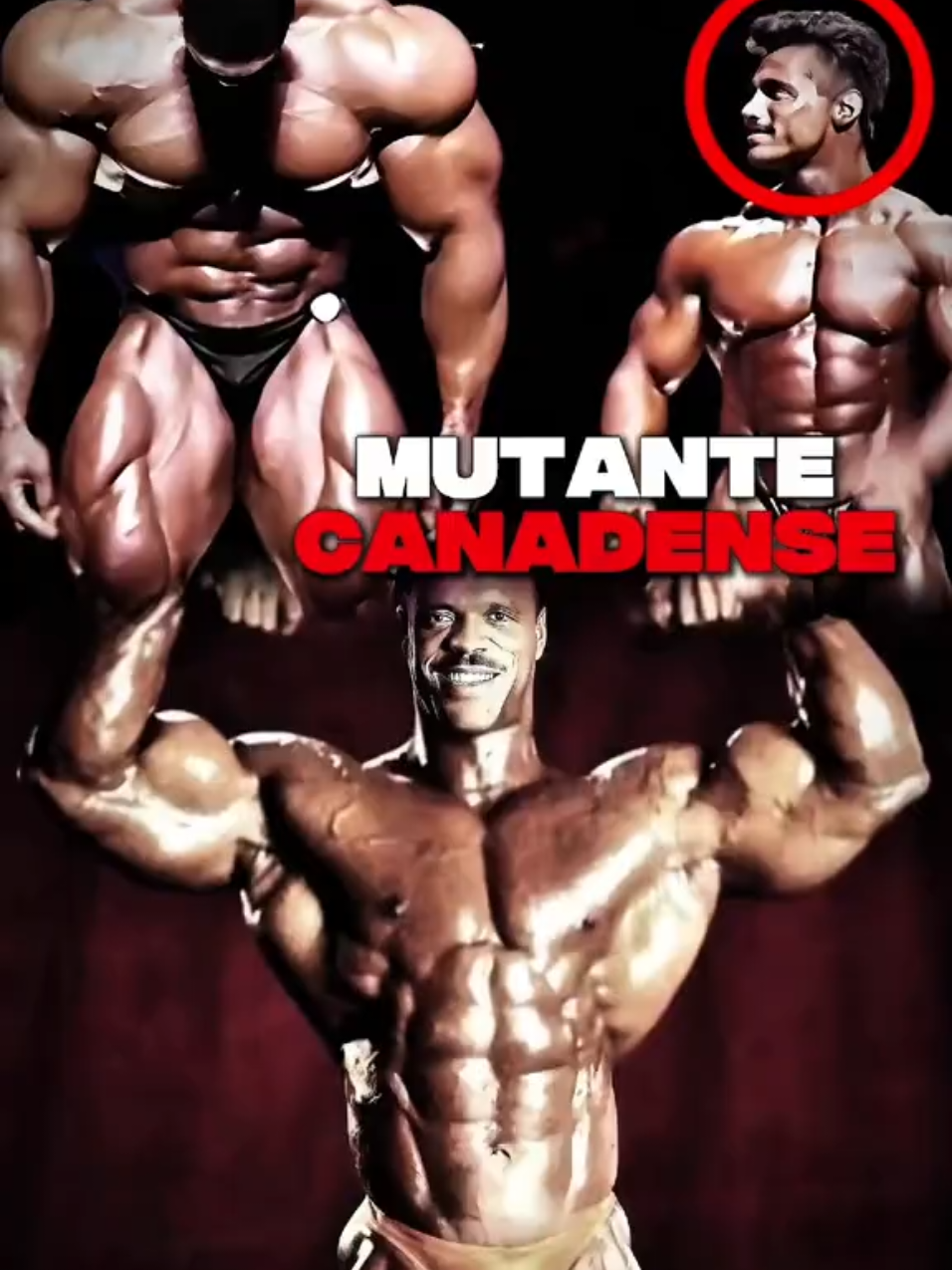@RAT&Atilde;O BODYBUILDING