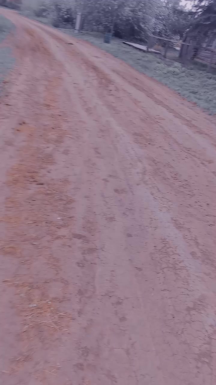 @Илья Реджбайт Муромцев