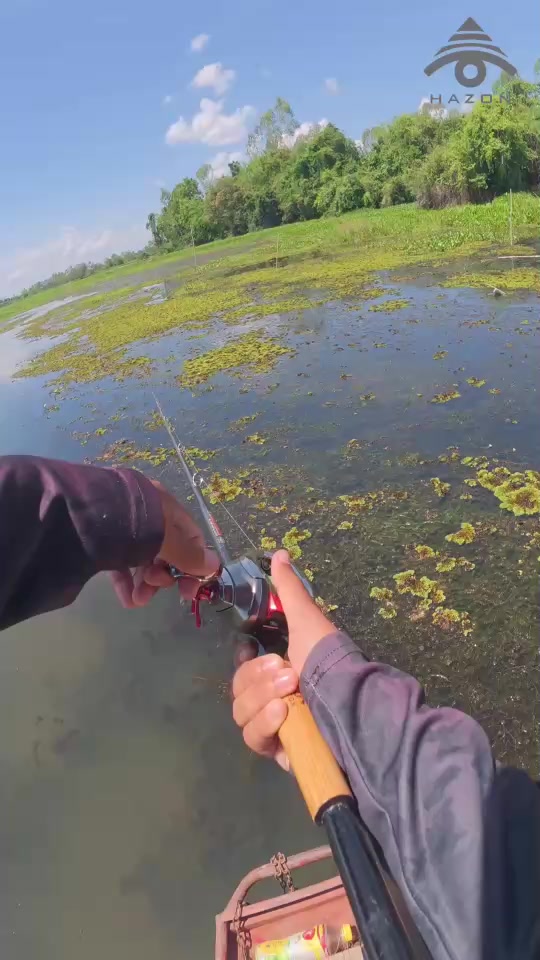 @HAZON TACKLE