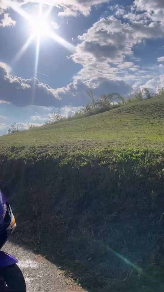 @Neso🇧🇷🤙