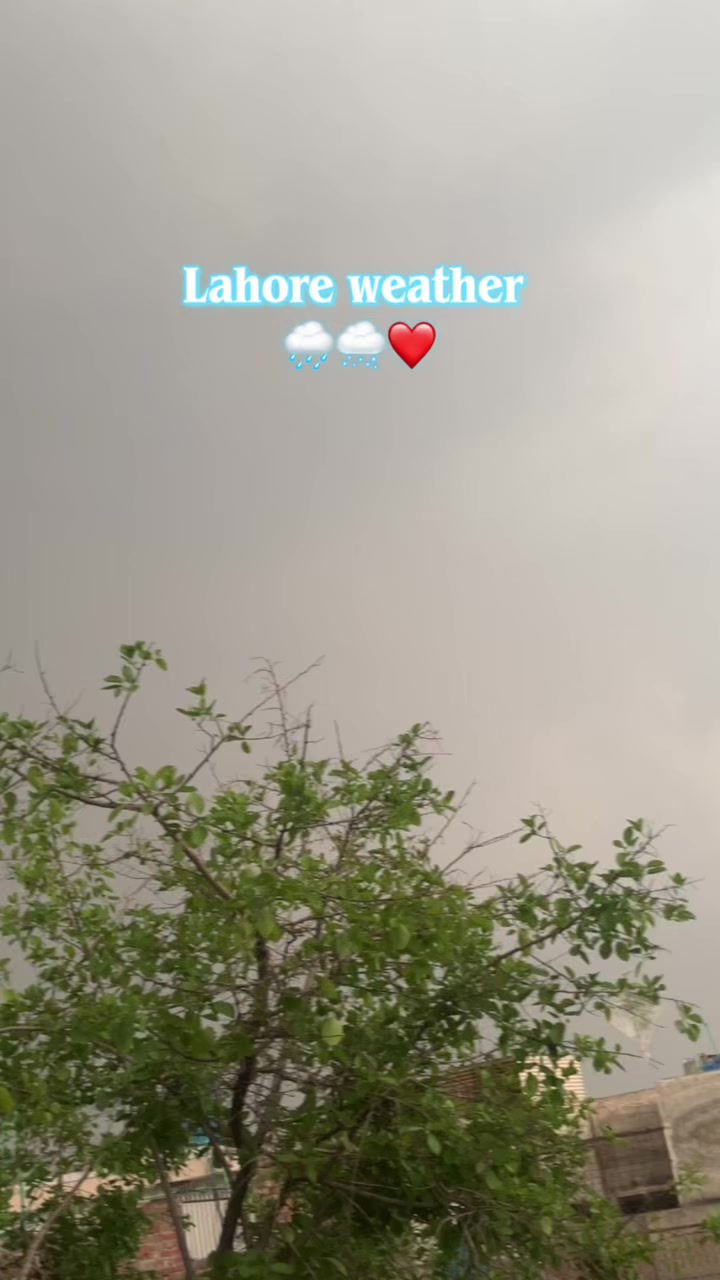 @qadrimuttonshop7