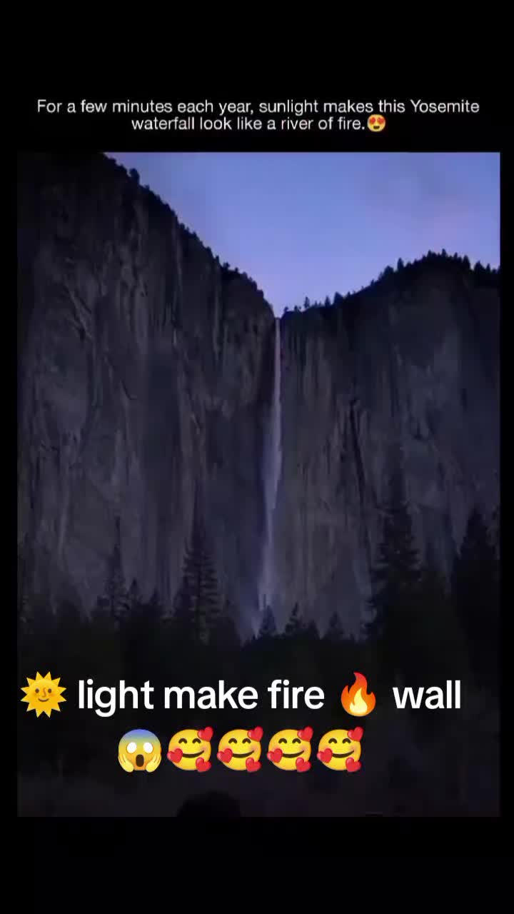 @Mr.Wolf780