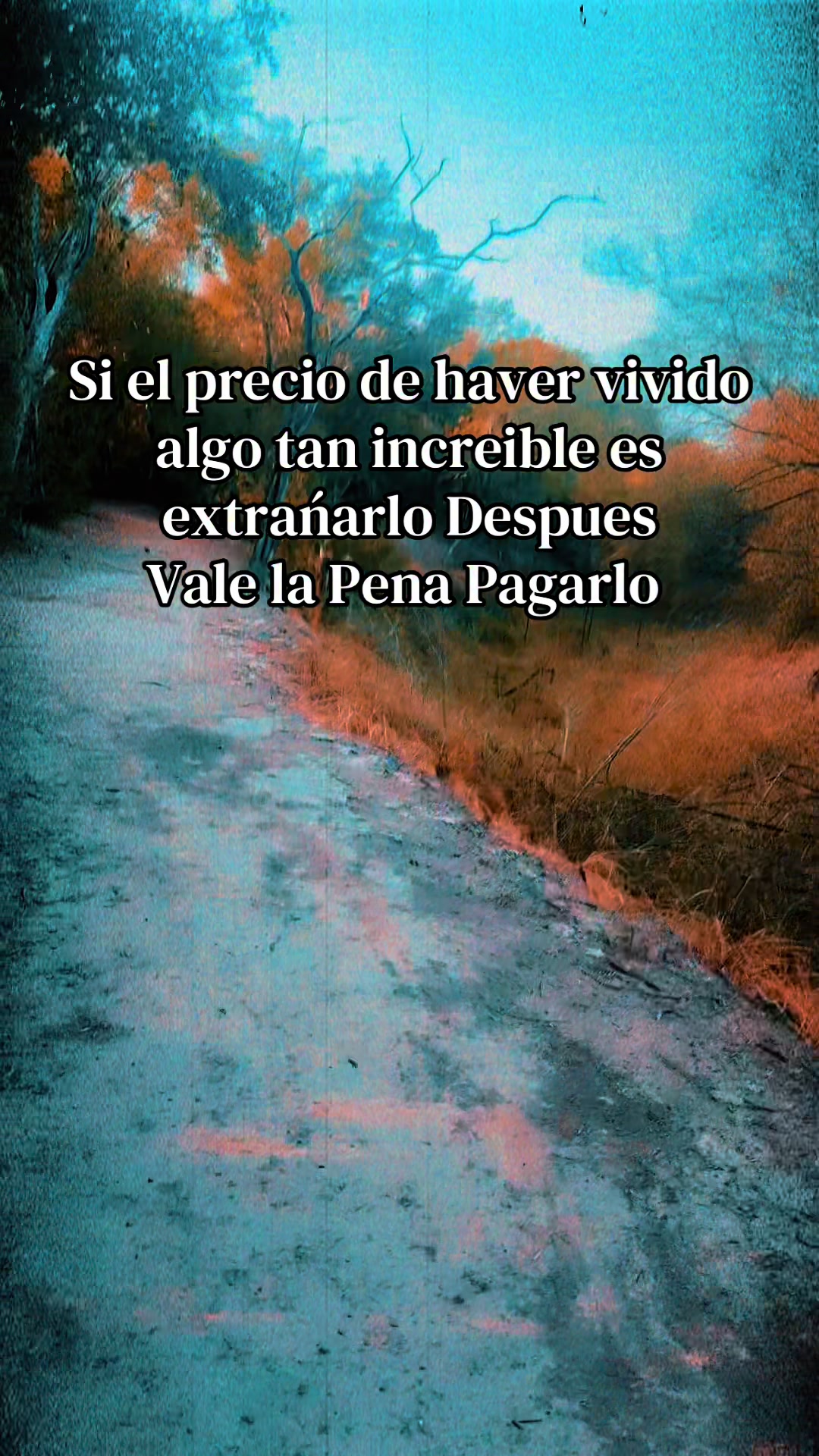 @Veronica Sotelo