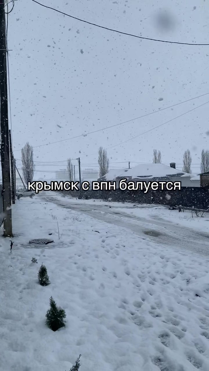 @dasha.aw