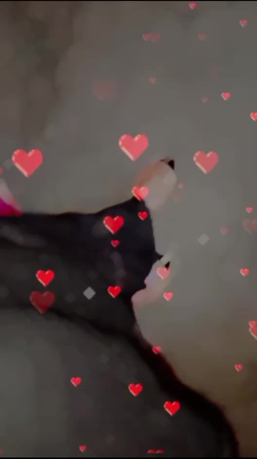 @Cutegirl786