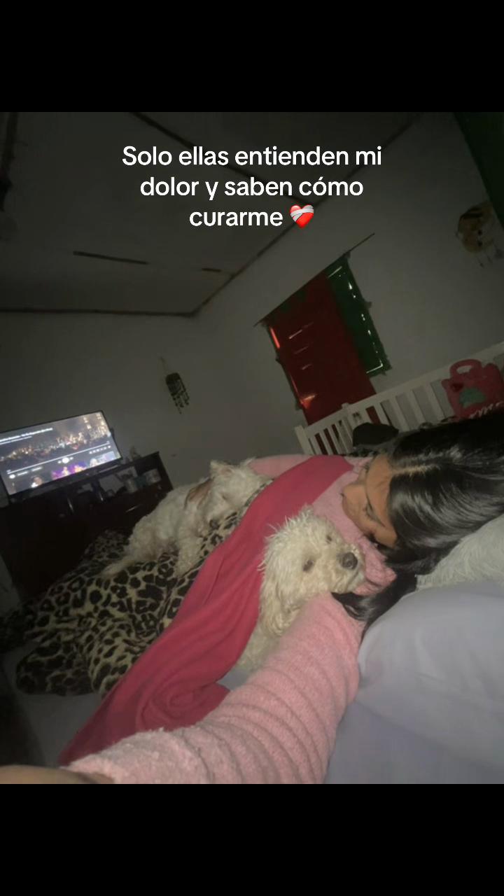 @Juli