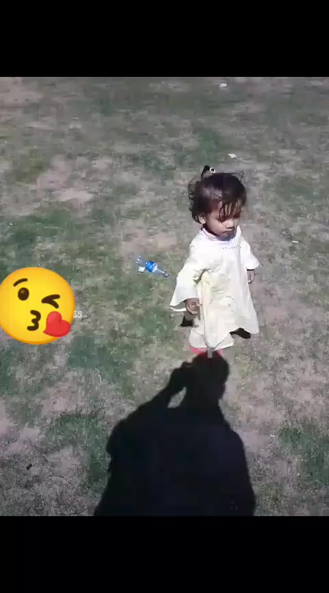 @Mohammed Dilshads