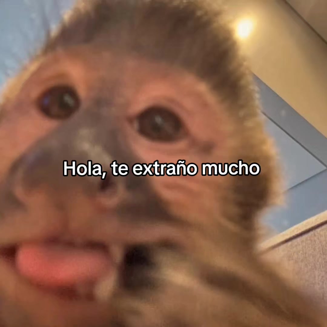 @goodvibessxd