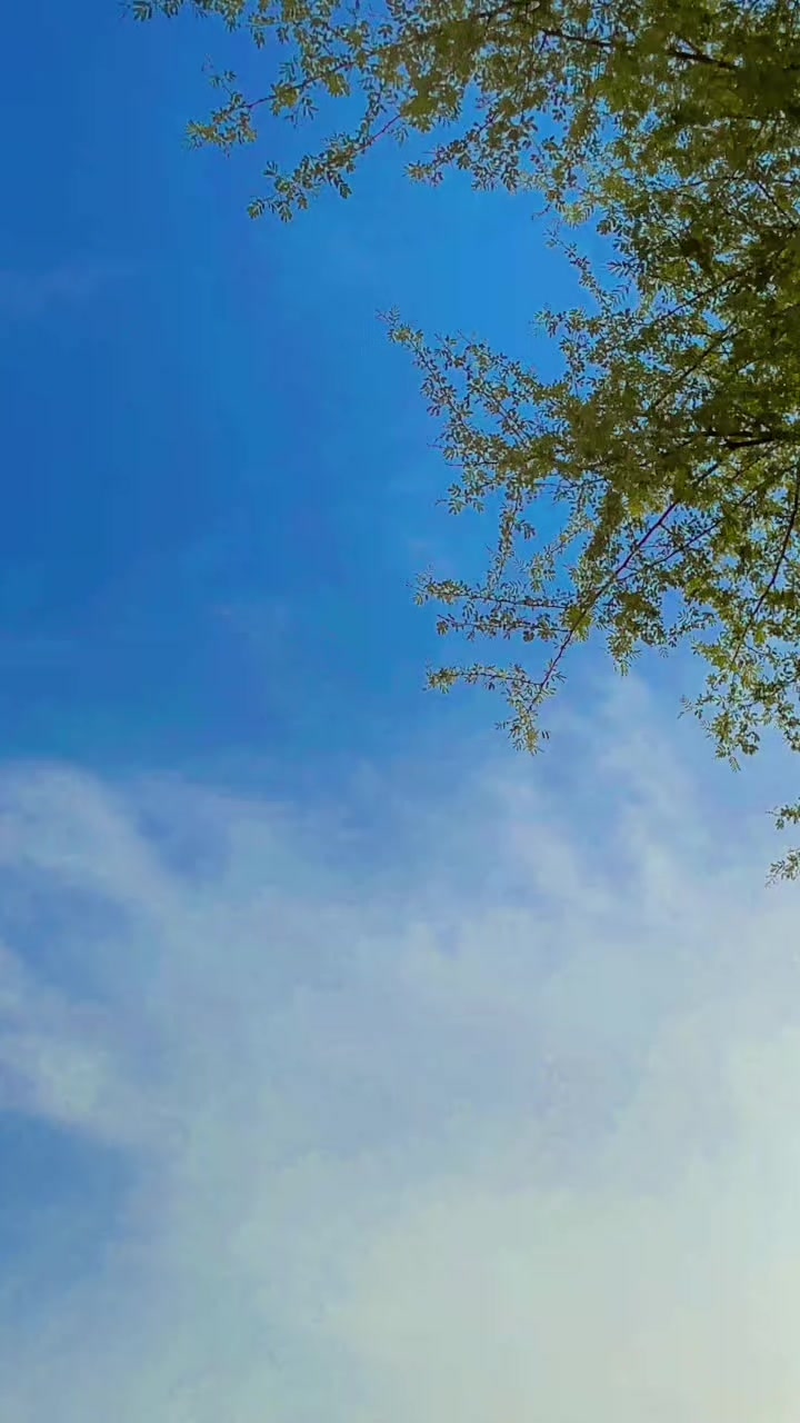 @AسAD جoyia 007