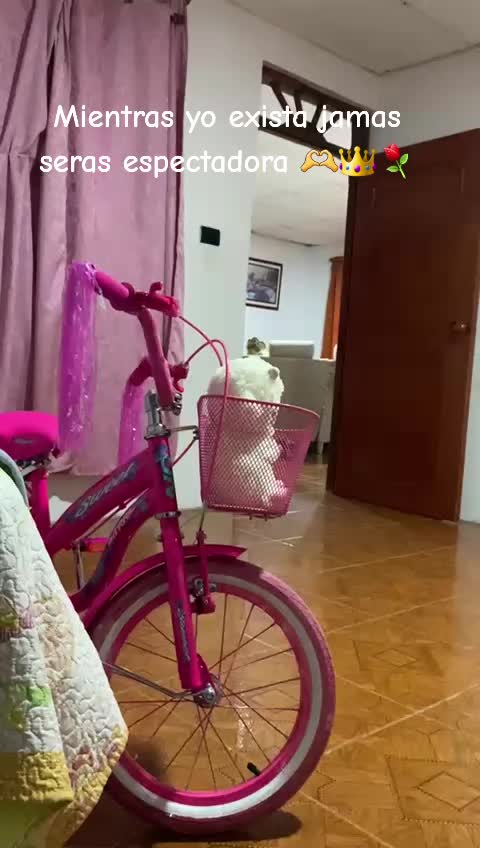 @pipe mejia