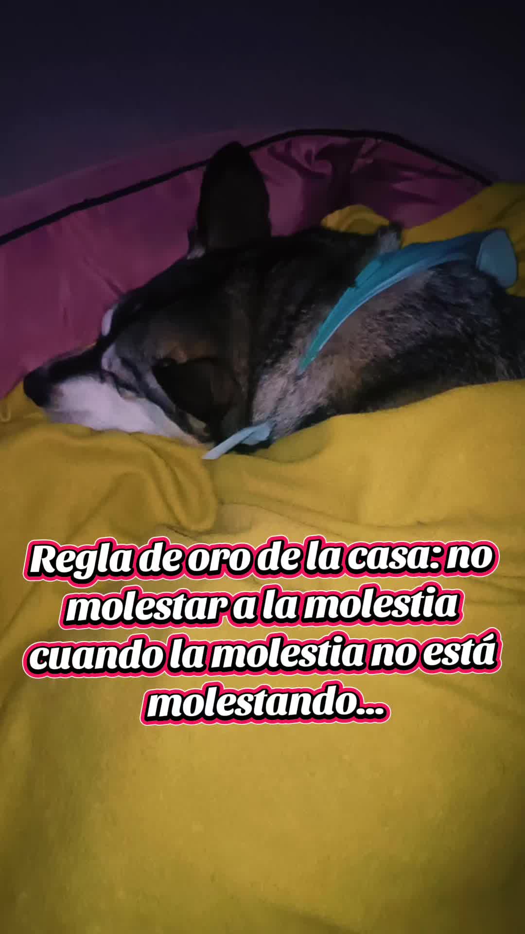 @Martinn (Fracturado's Versión)