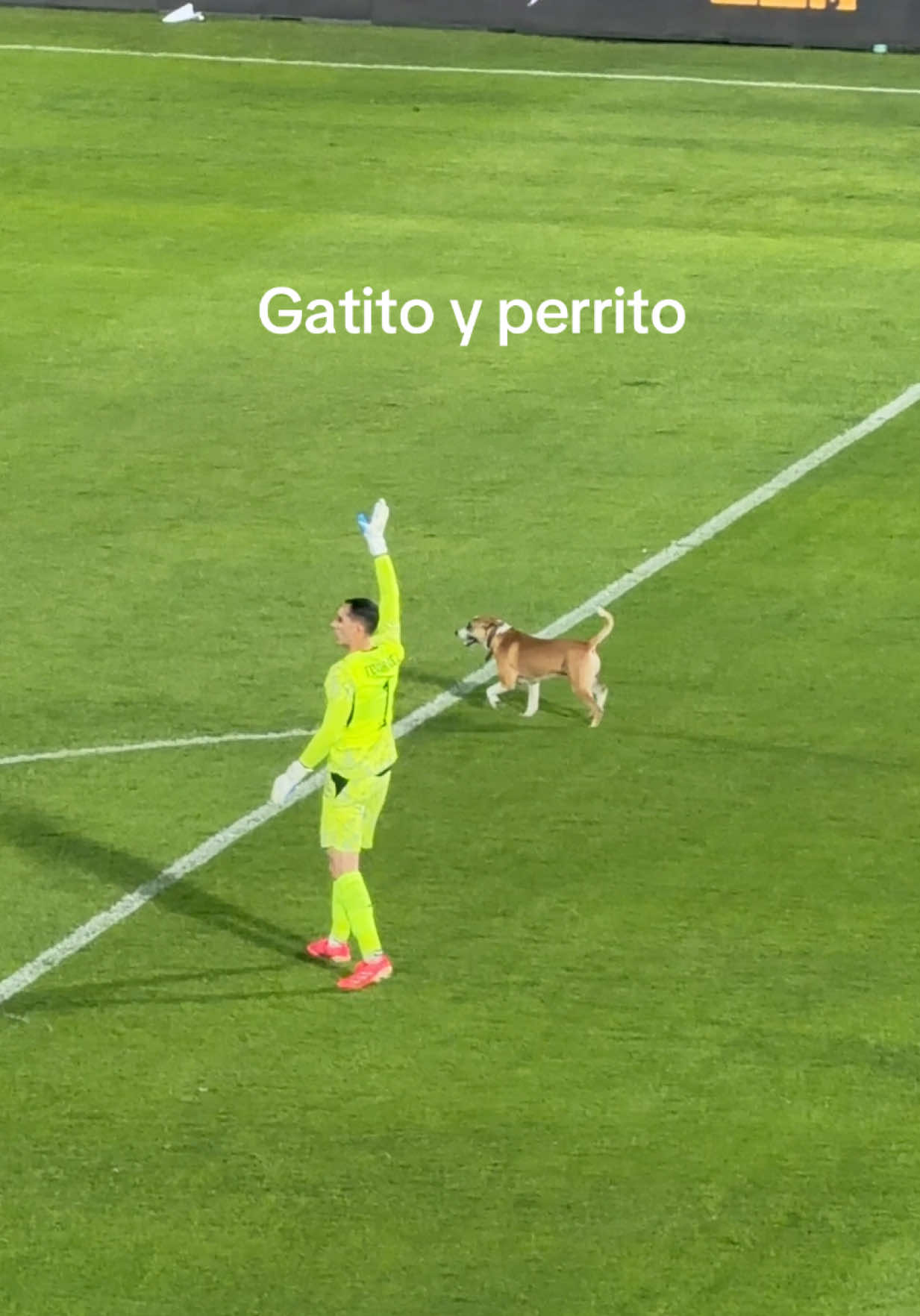 @Ingrid