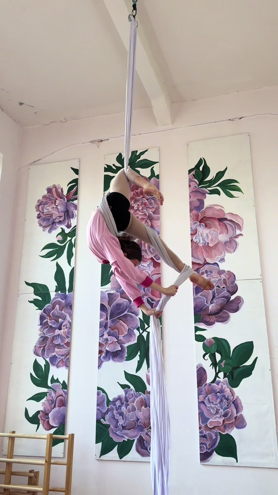 @Wellery Aerial Studio 🌸