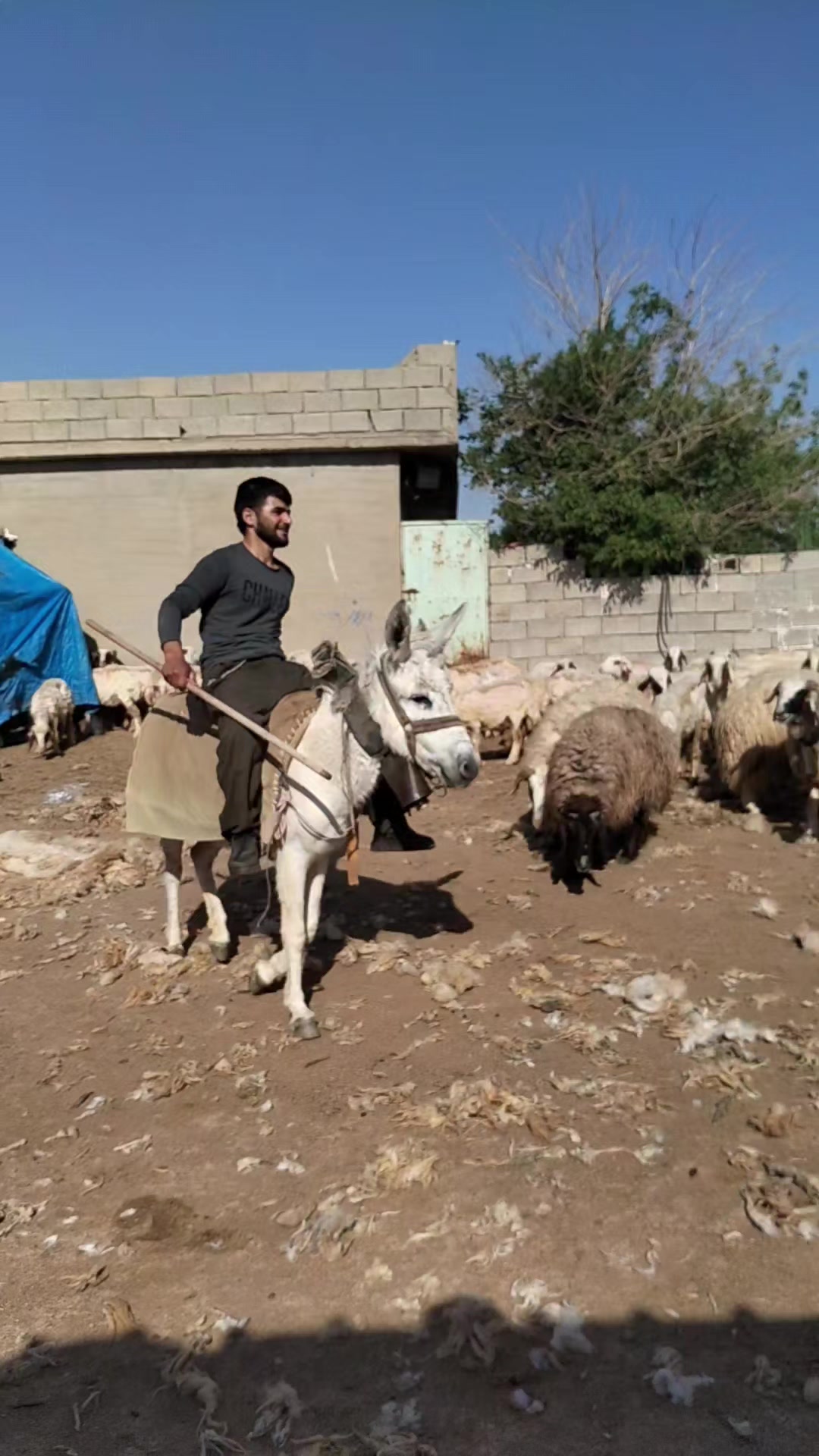 @هەڵۆچیمەنی