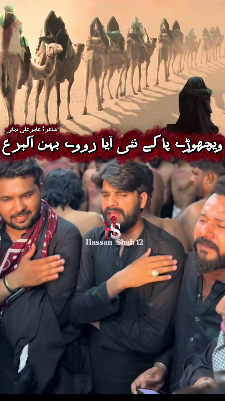 @Hassan_Shah12