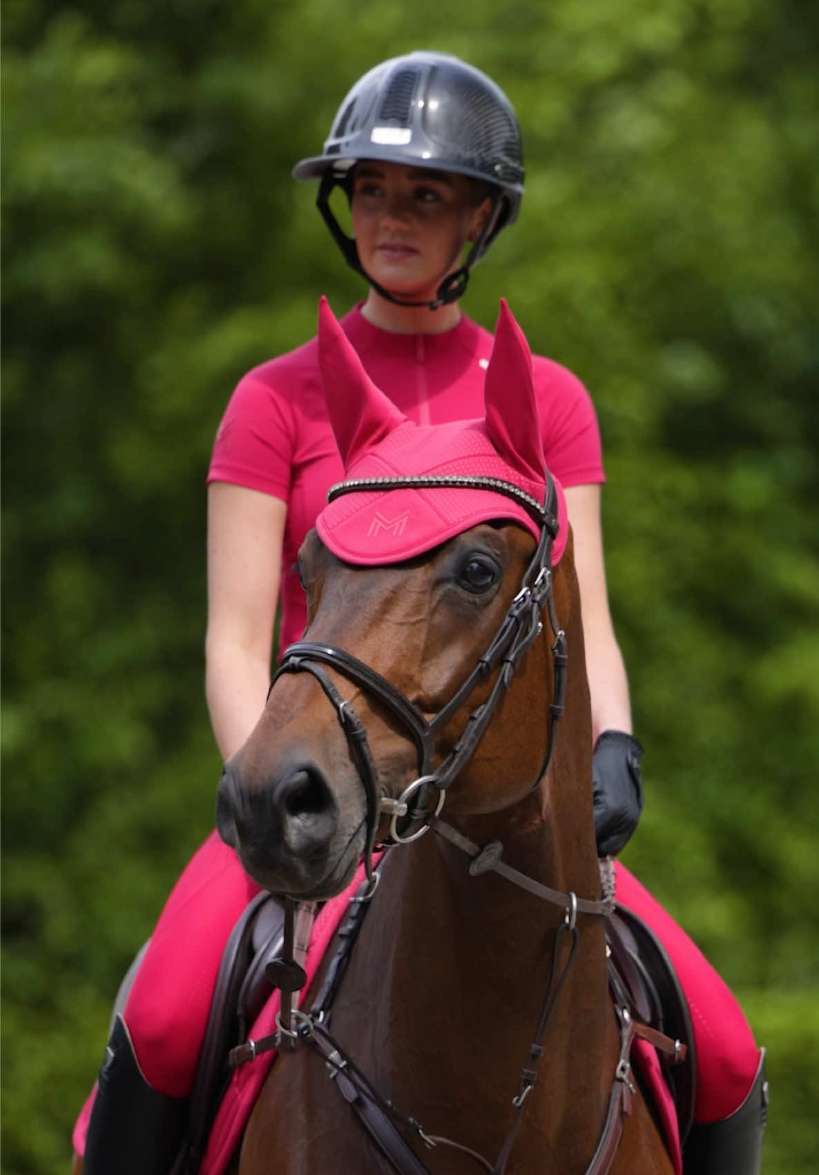 @Maximilian Equestrian
