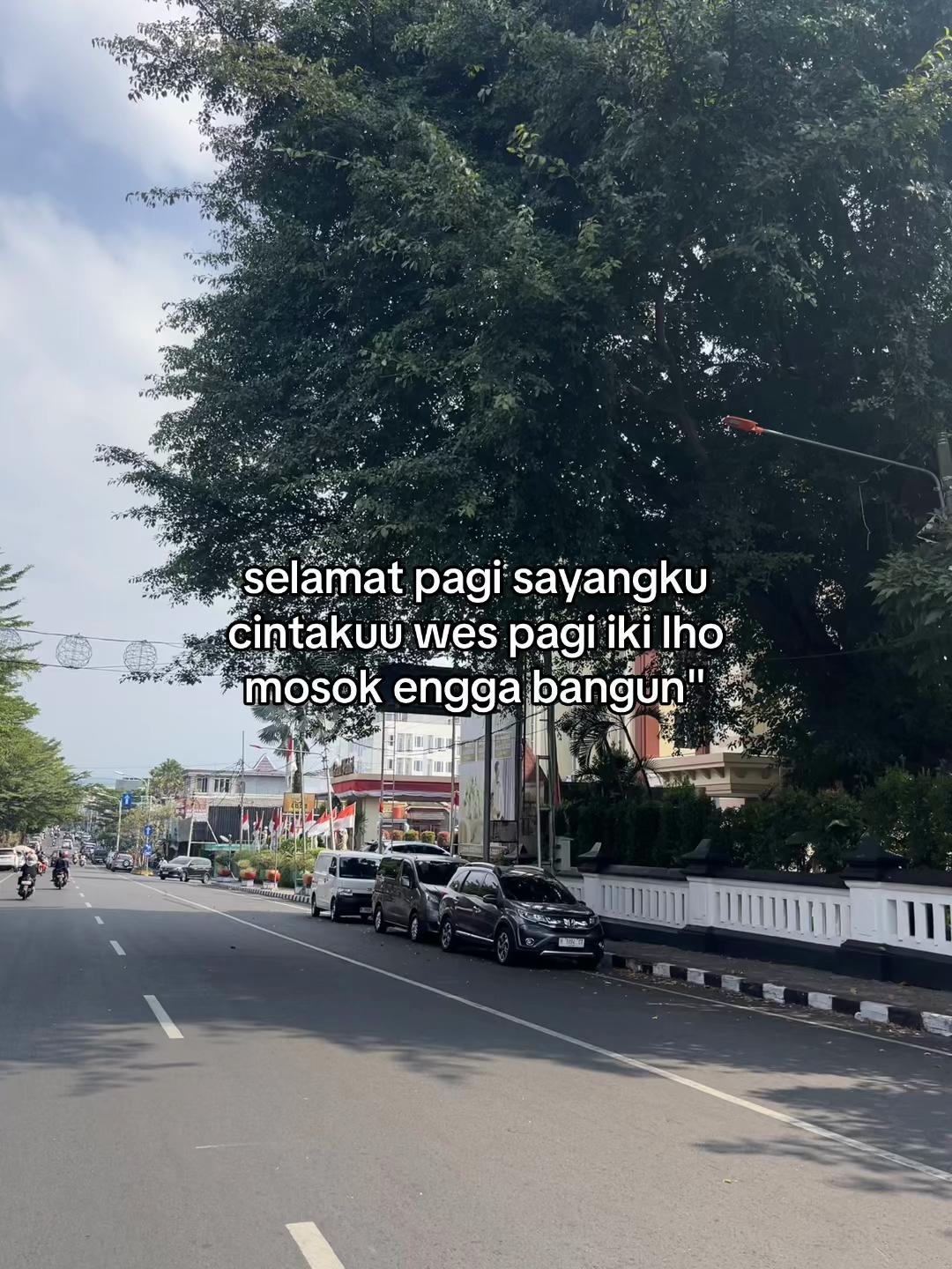 @𝙎𝙏𝘼𝙍𝙇𝙄𝙂𝙃𝙏