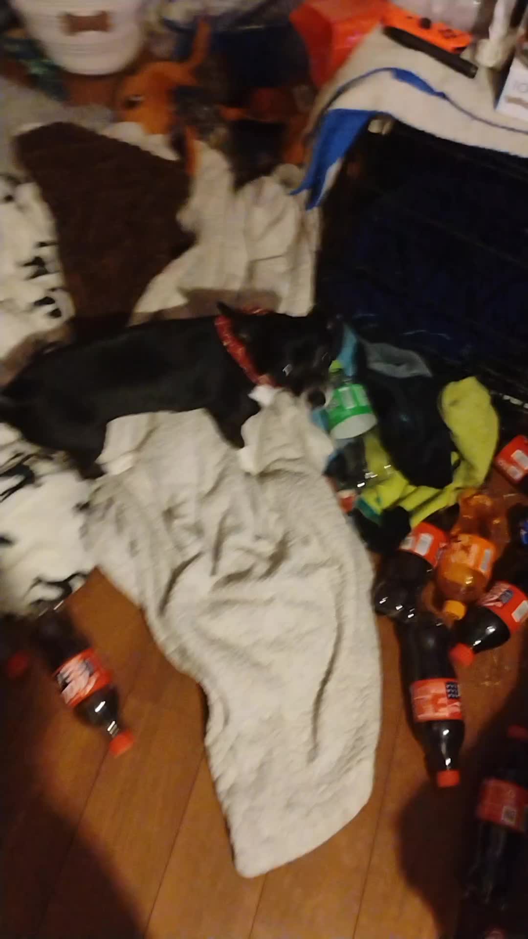 @DarkCrys