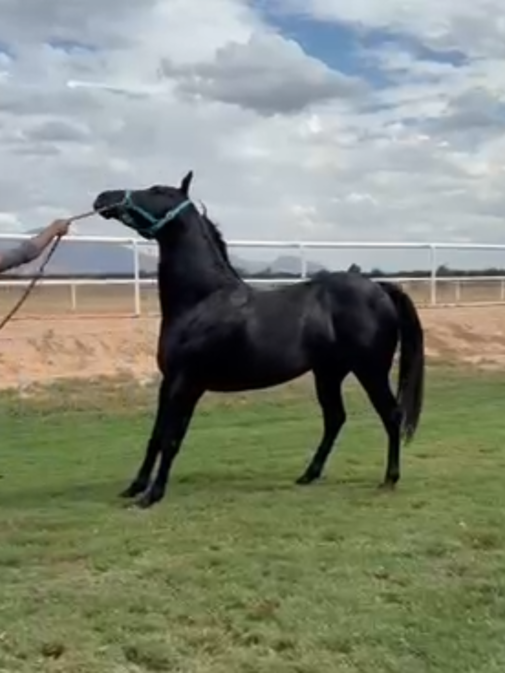 @Armando Castro Yañez