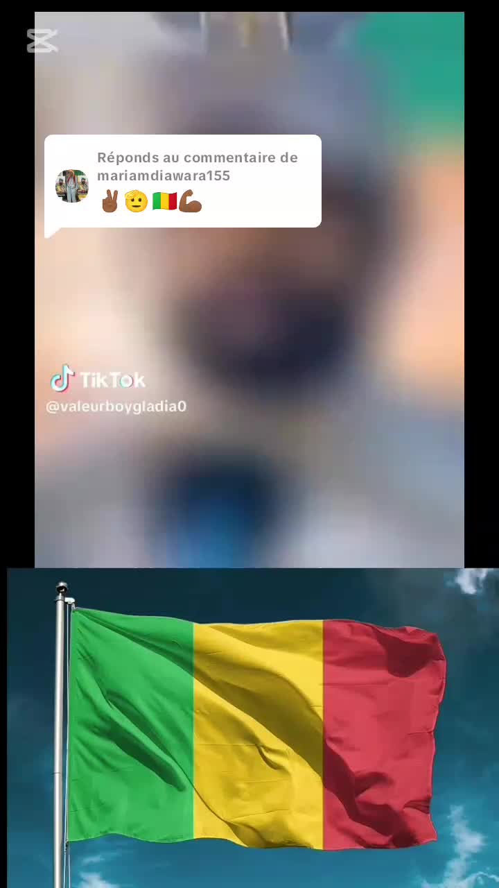 @LA FORCE MALIENNE 🇲🇱🇧🇫🇳🇪