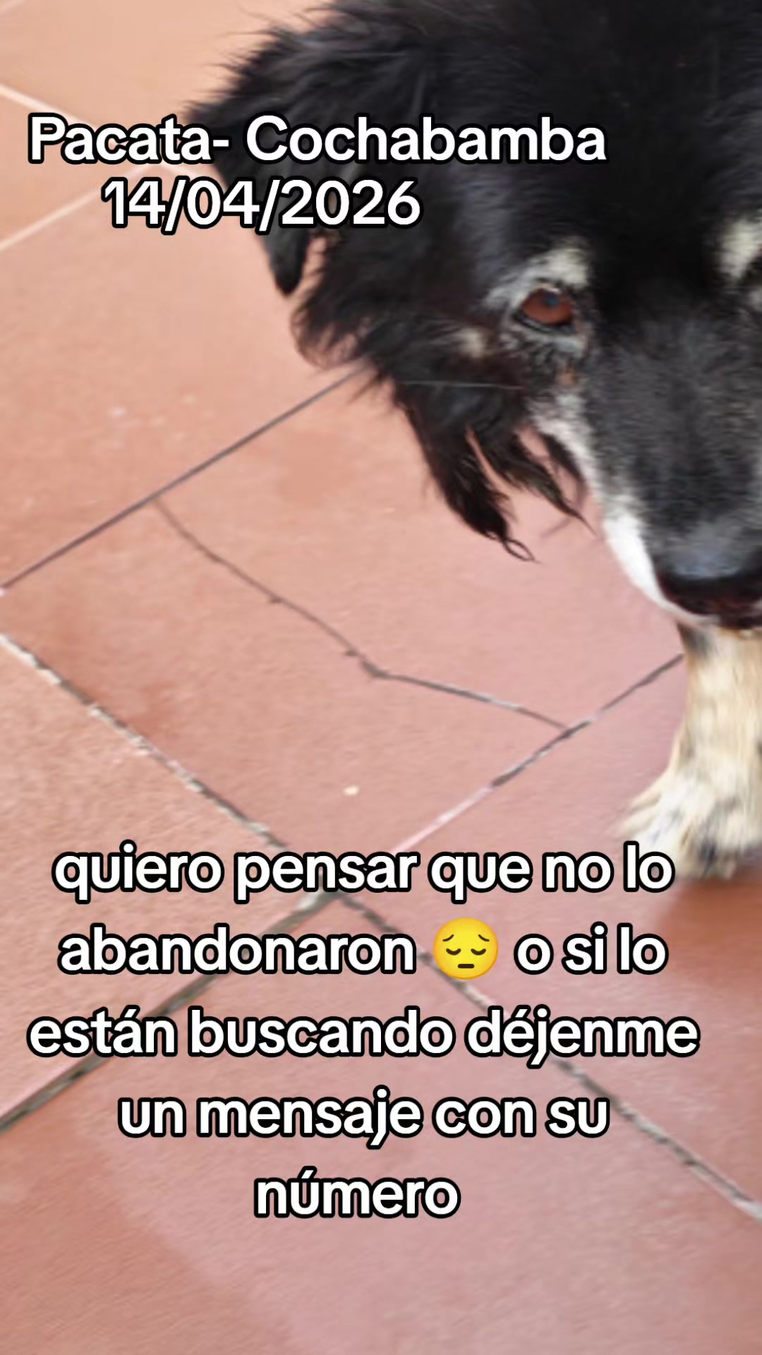 @Flaquita