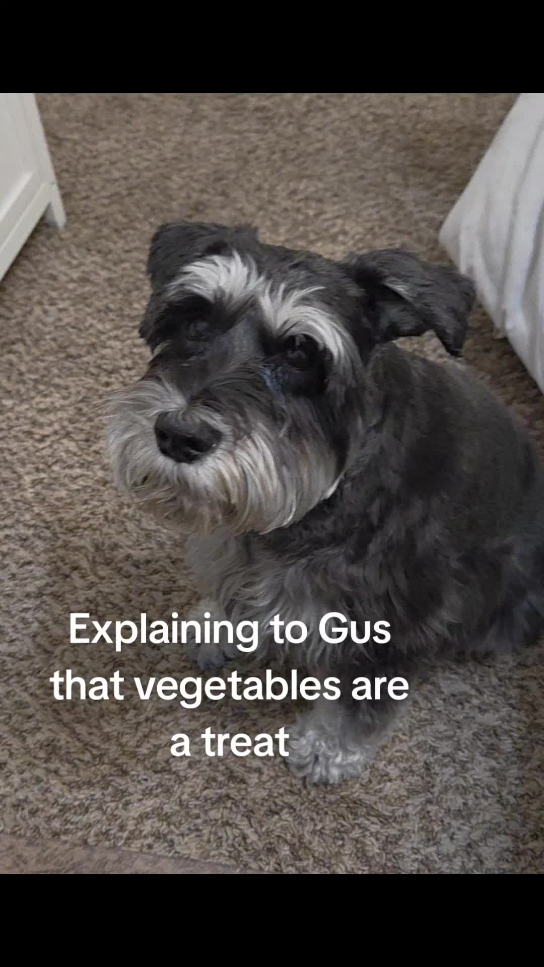 @Grumpy Gus