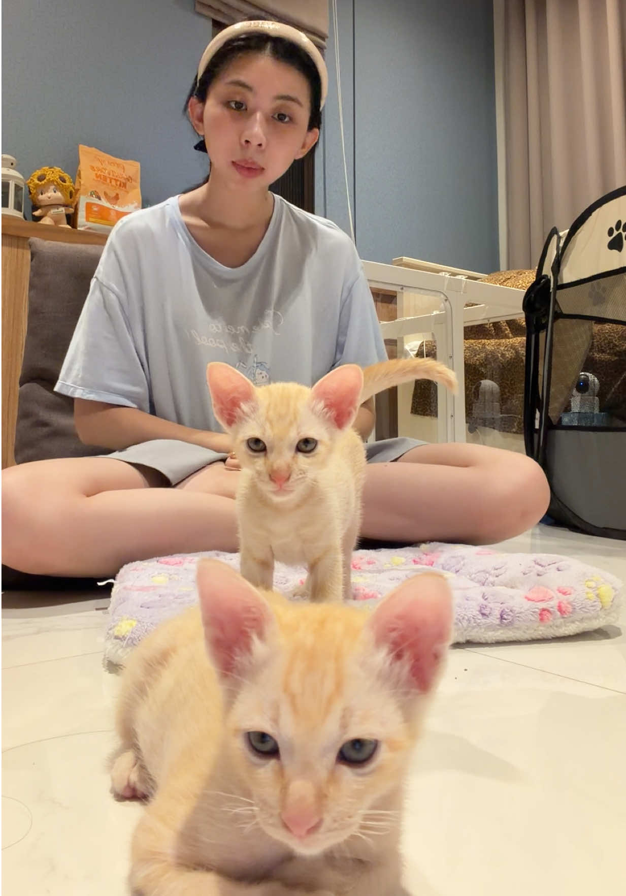 @ทริชเชียพี่มีโชค