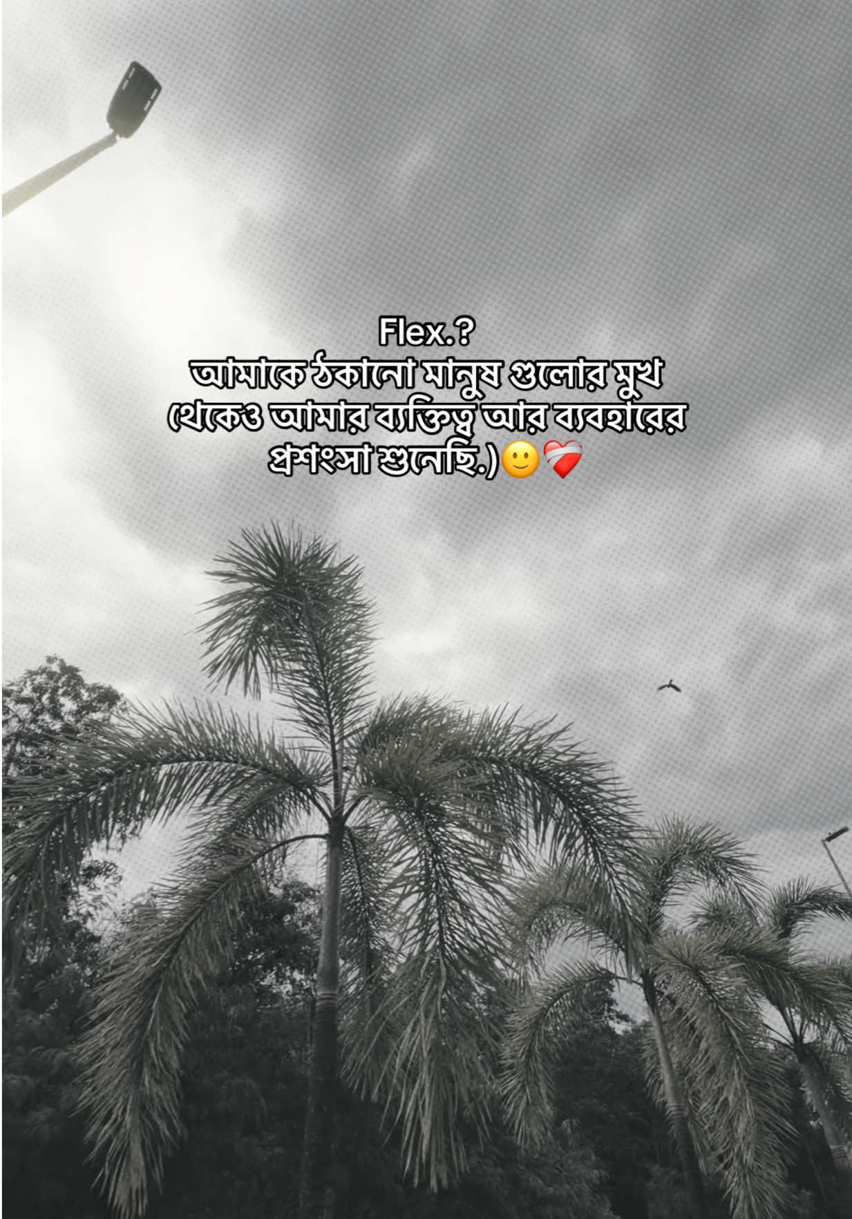 @❏ 𝐓𝐨𝐦'🐼