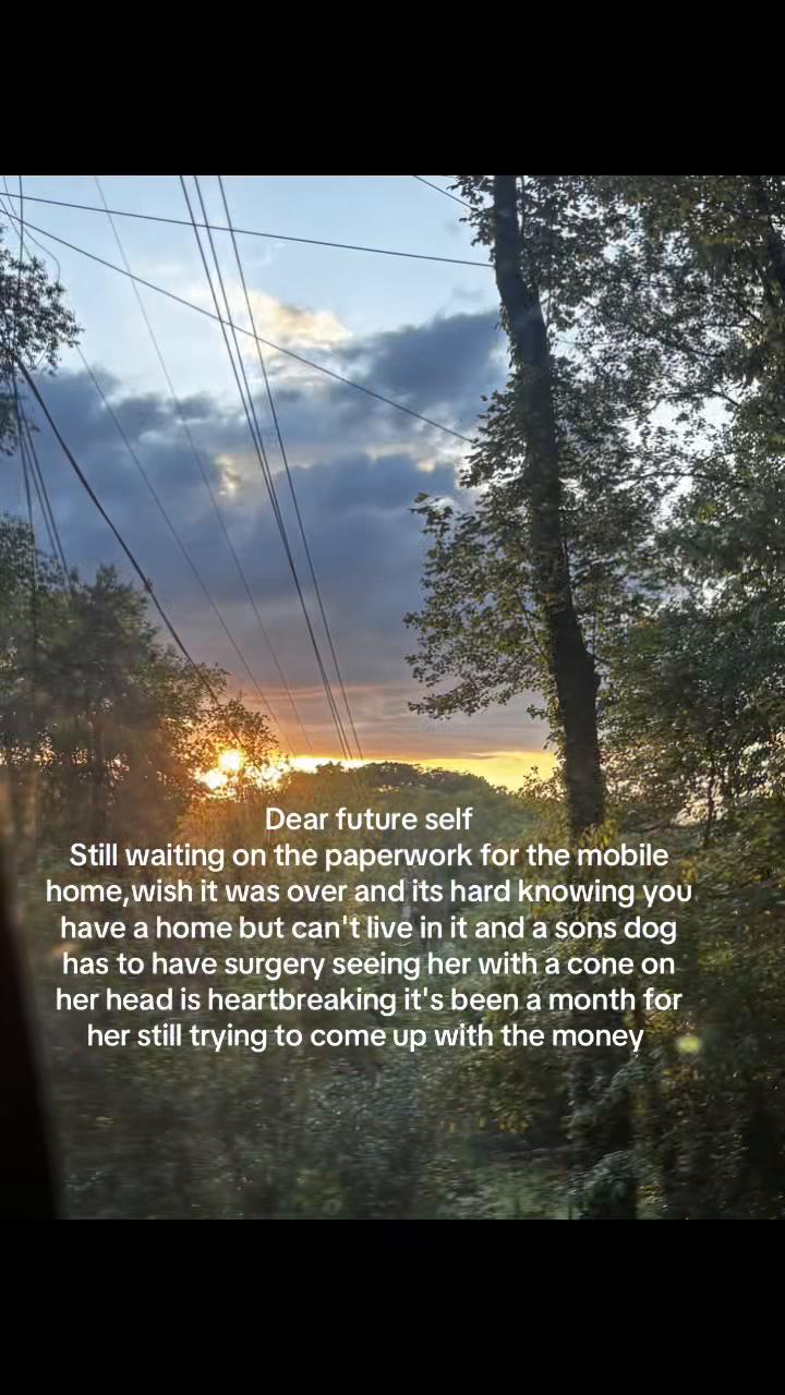 @Colorado sunshine Gen❌