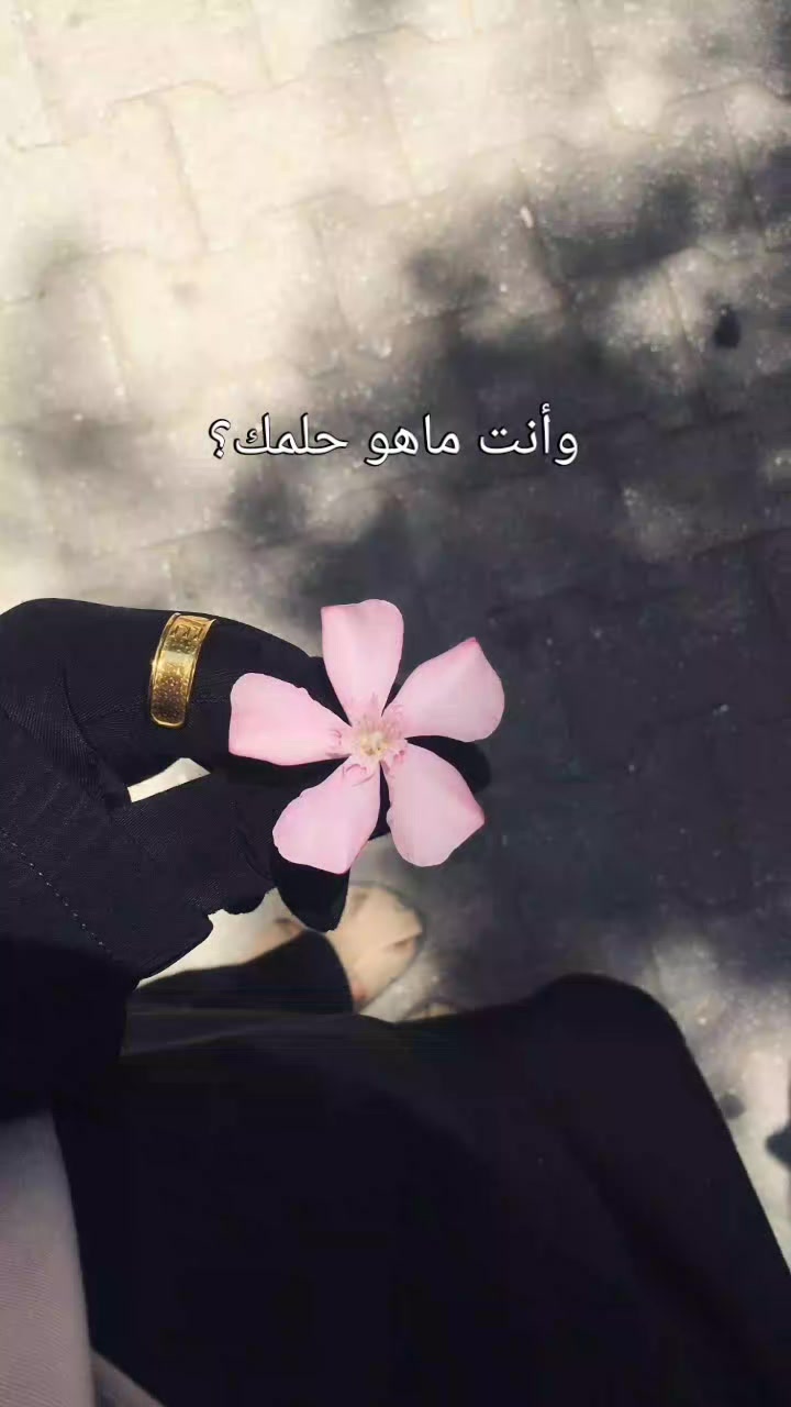 @مسلمة|| ١٤٢٨📚