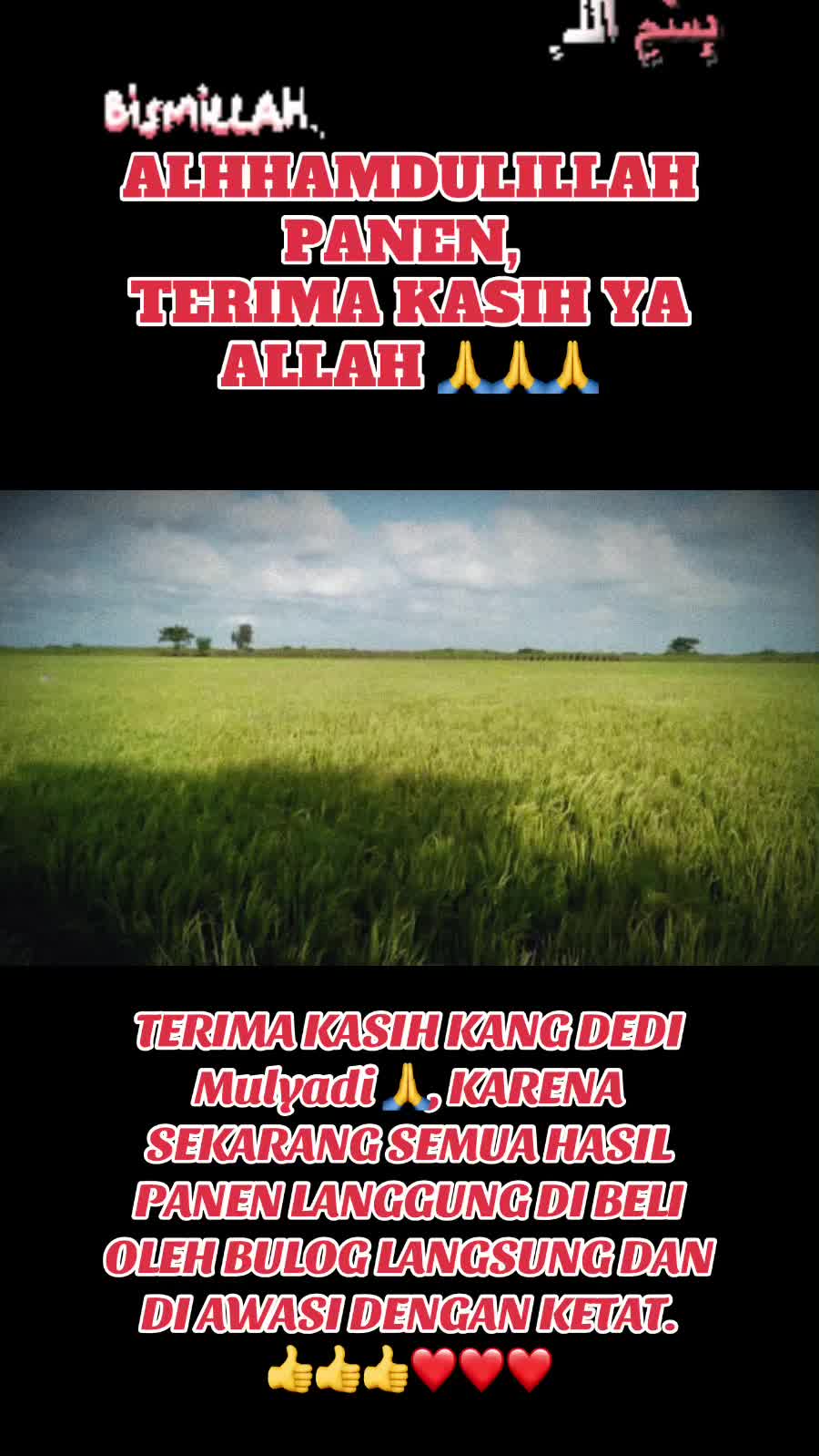 @Mrs.DOLLAR RINI_GAZANY_ATTALAH
