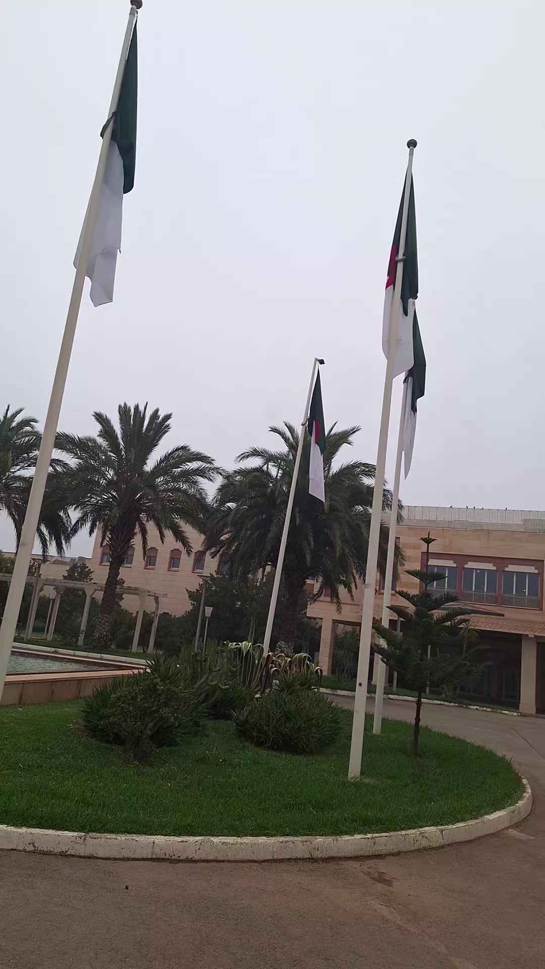 @Algerie213