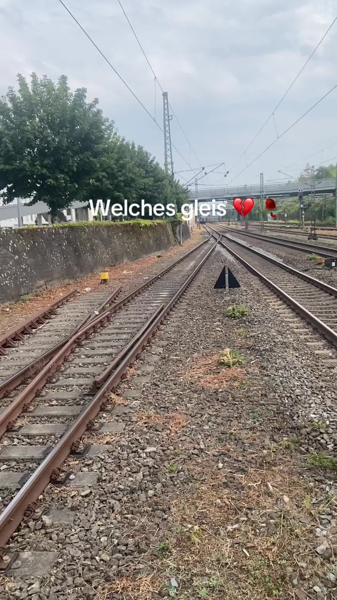 @trainspotterlevi