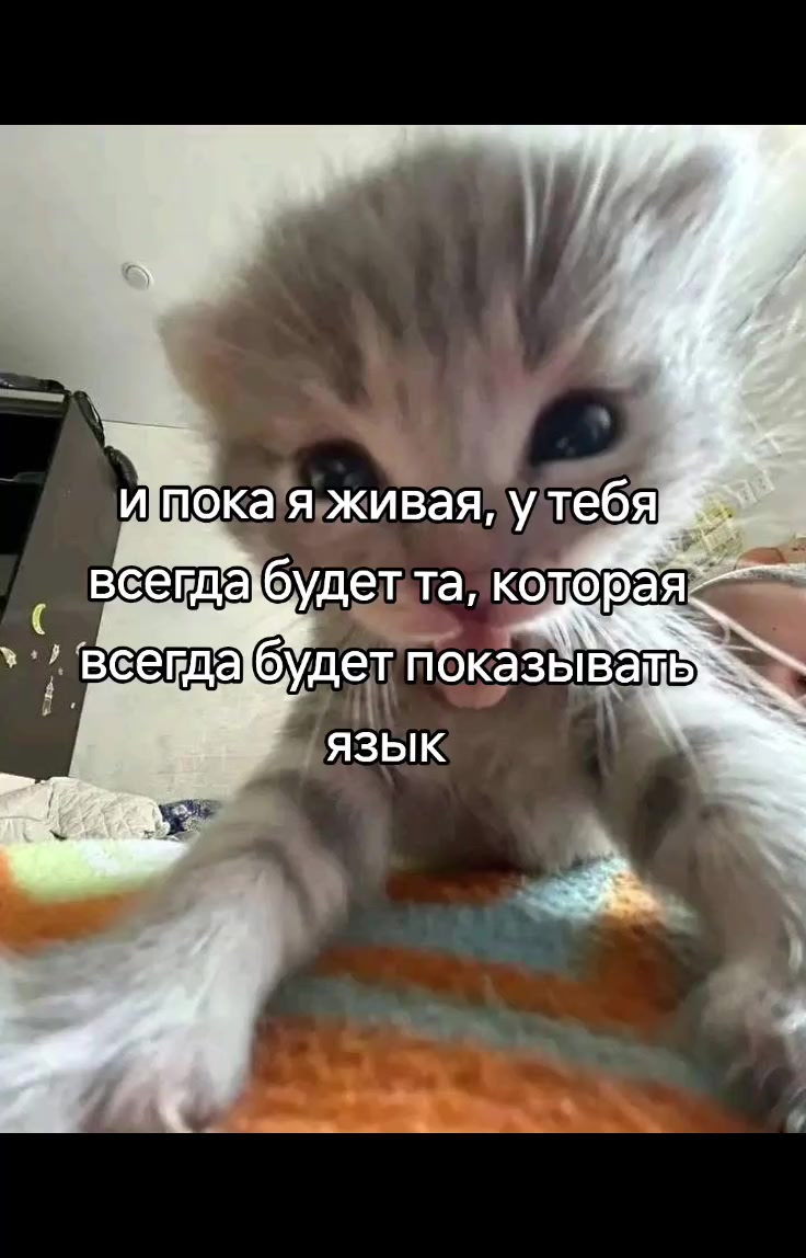 @E_w_k_a26