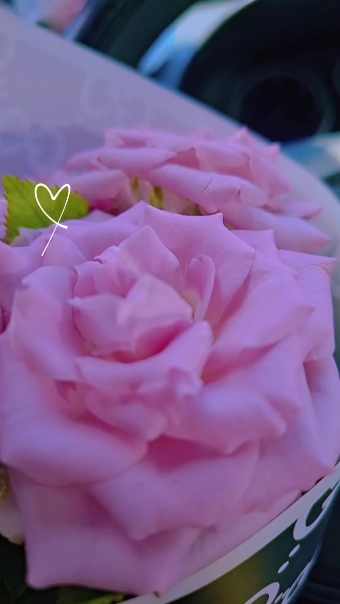 @كونووووز