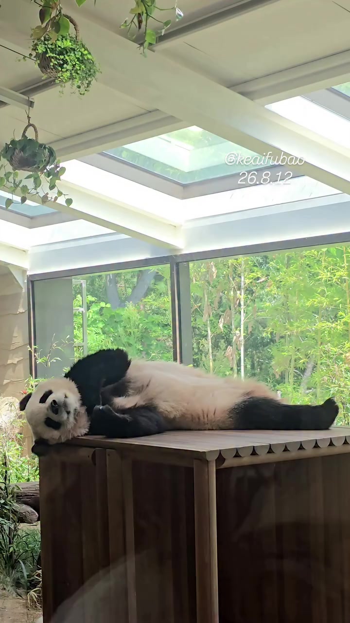 @FuRuHu