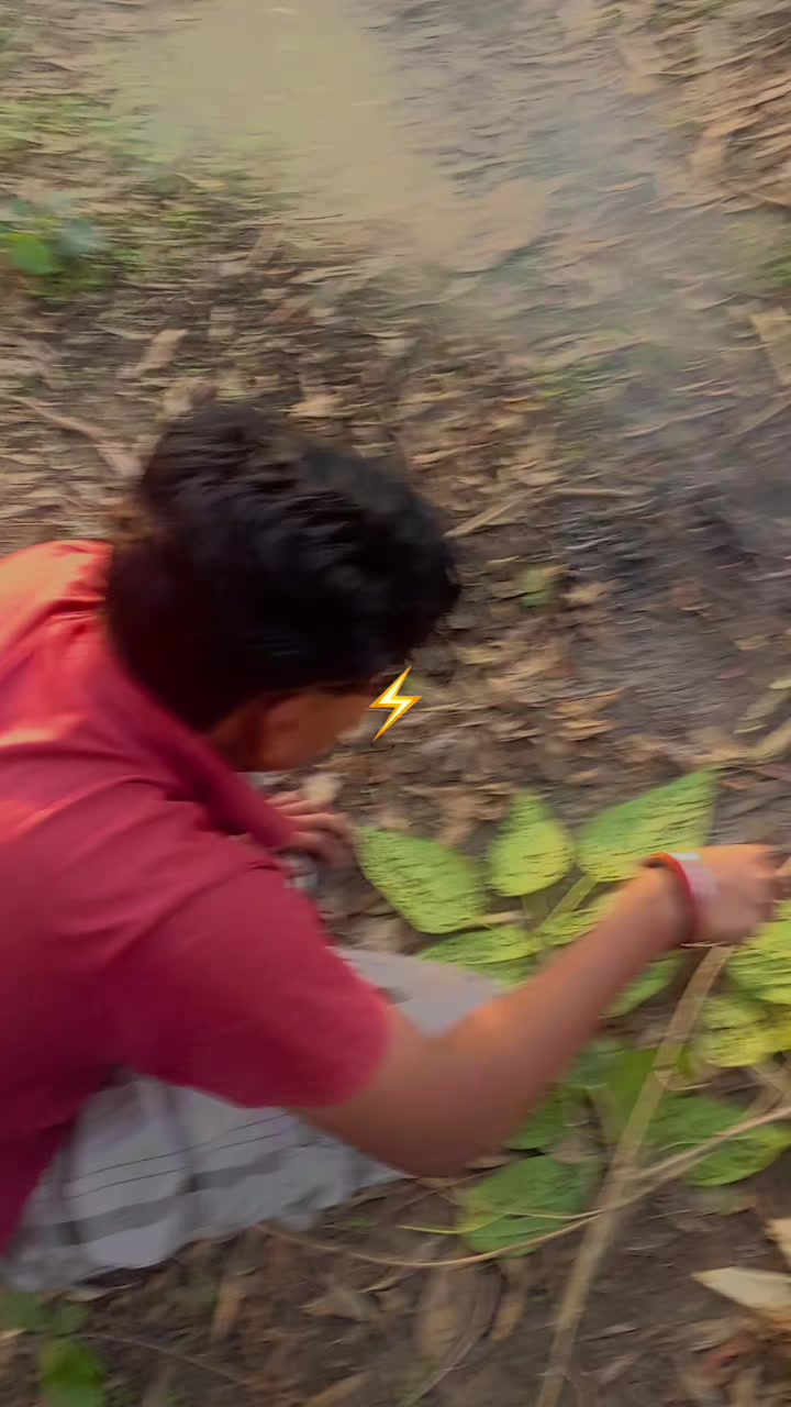 @Davy D. Niraj