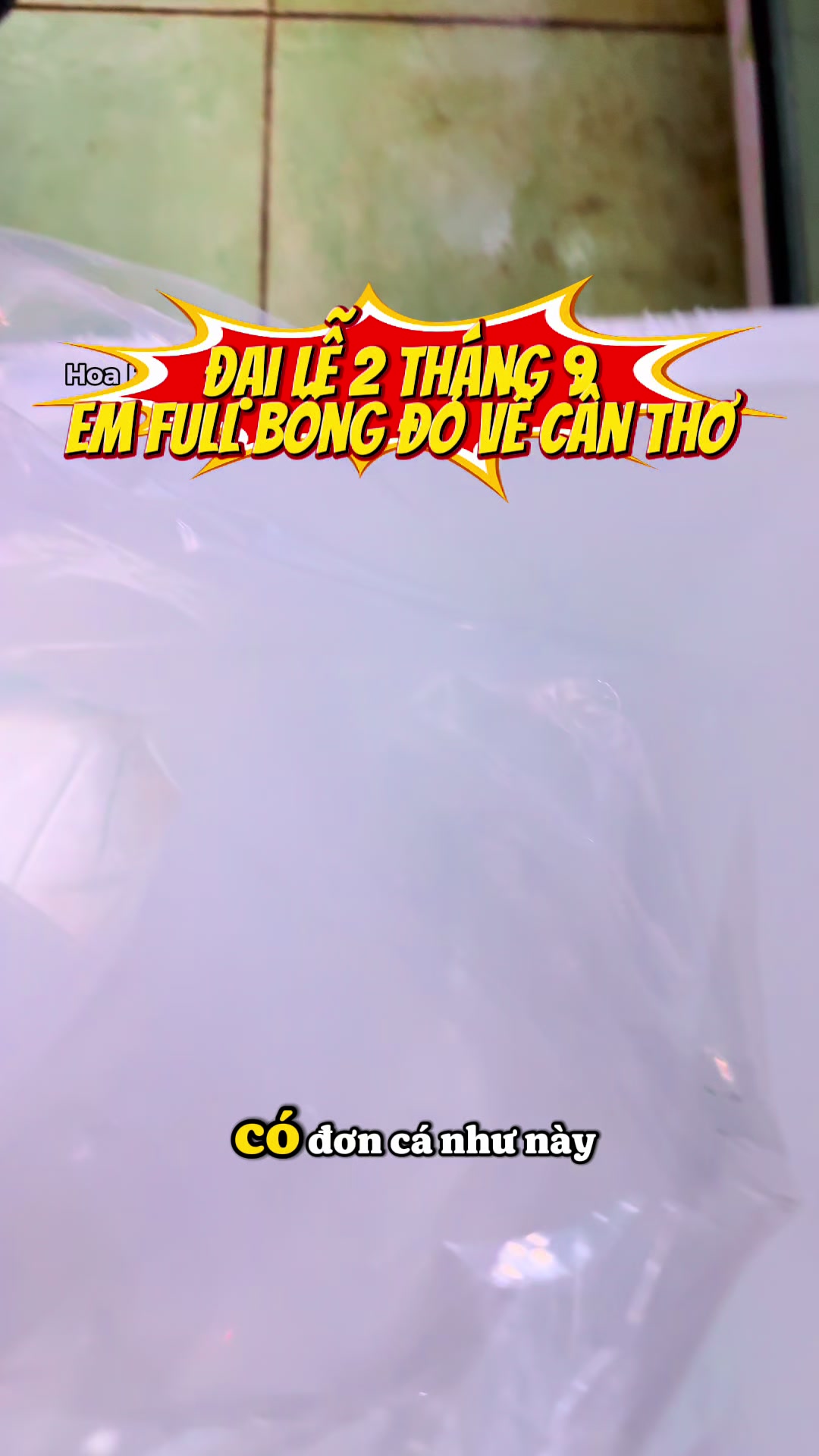 @Hoa Biển - Hải Tượng Long