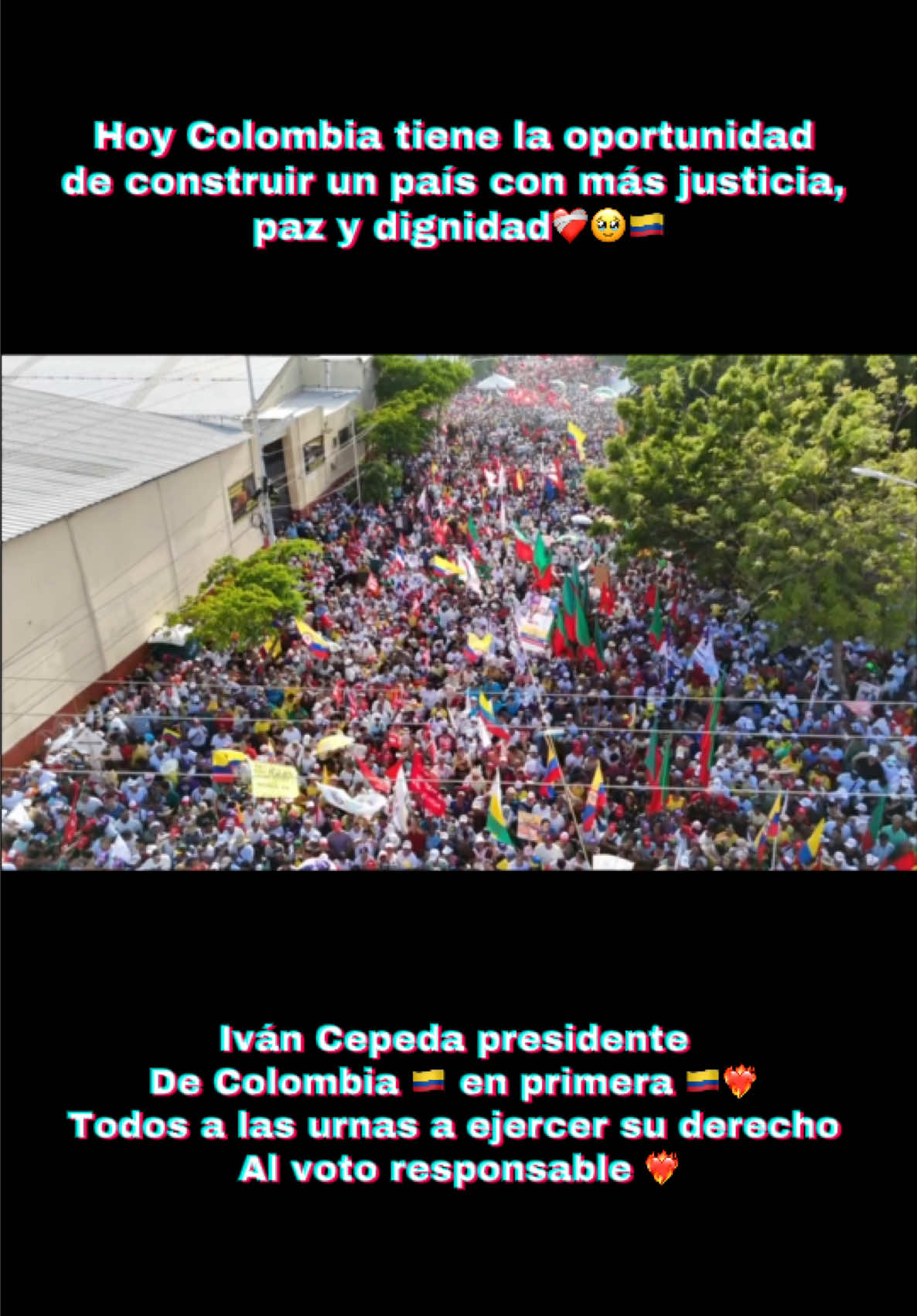 @luisabohorquezr