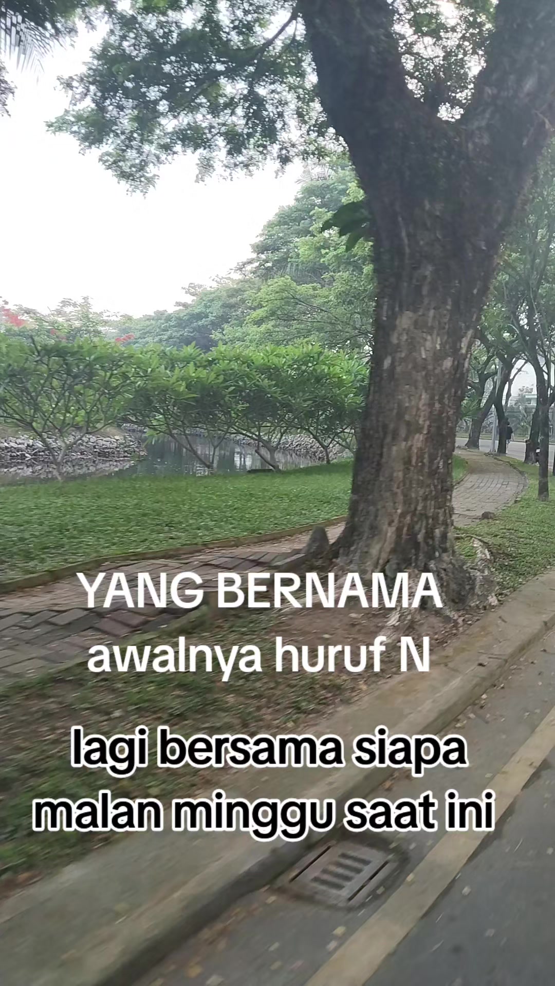 @AVANZA xx