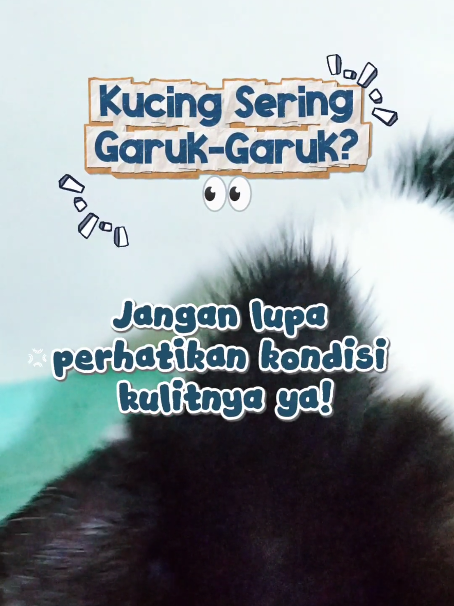 @Bollu