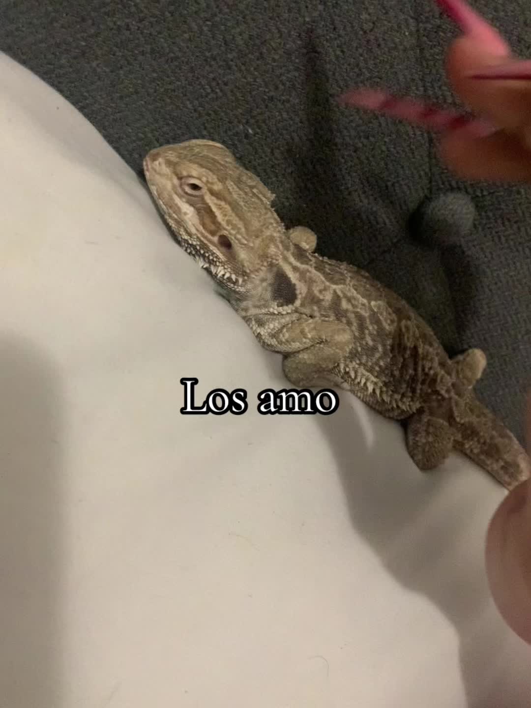 @Pao🌻