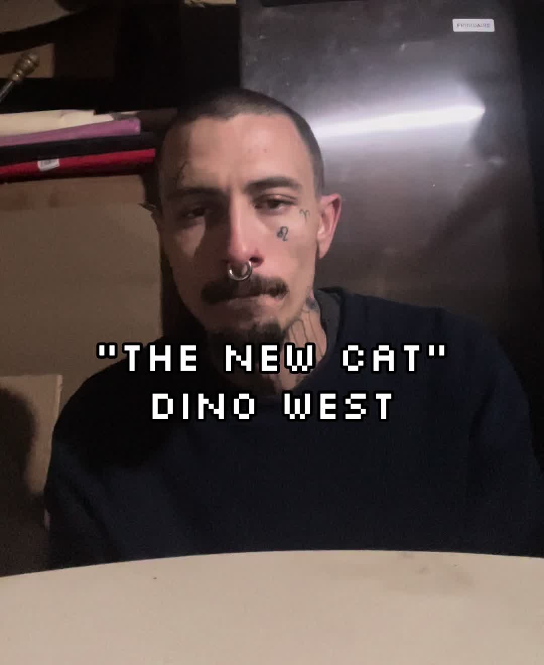@TheRealDinoWest