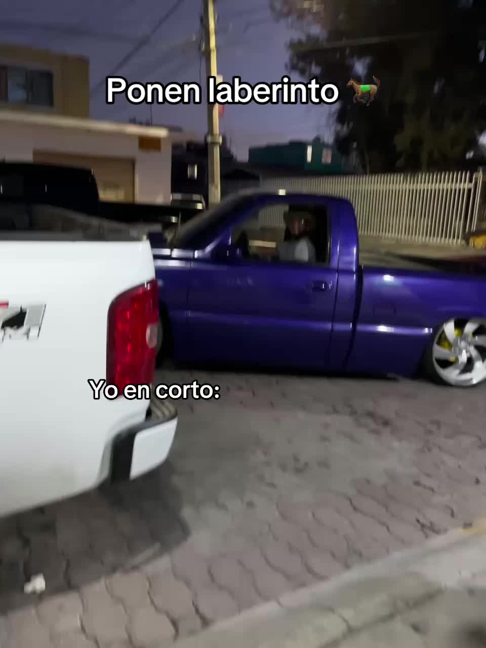@Nbs_Laexotica6.0_purple