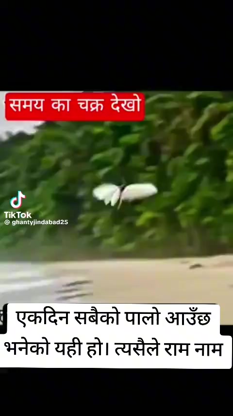 @puja traders