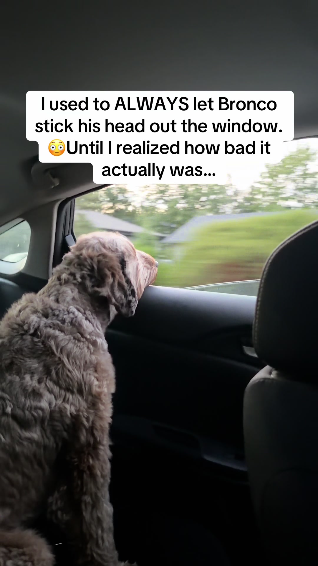 @Dogs Made Simple