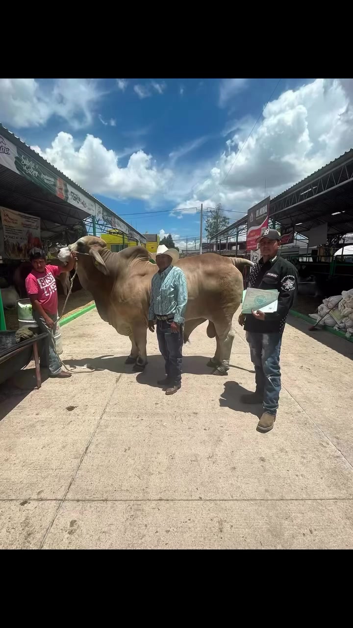 @Rancho Piedra Nube