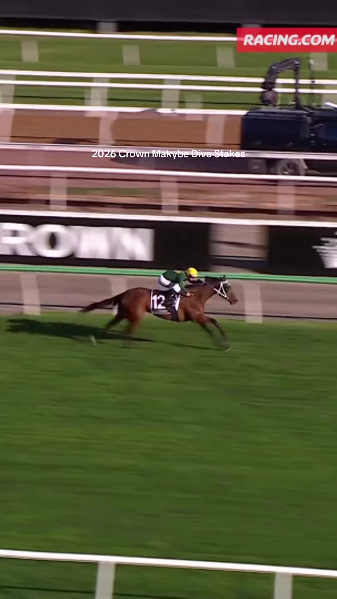 @VRC || Horse Racing