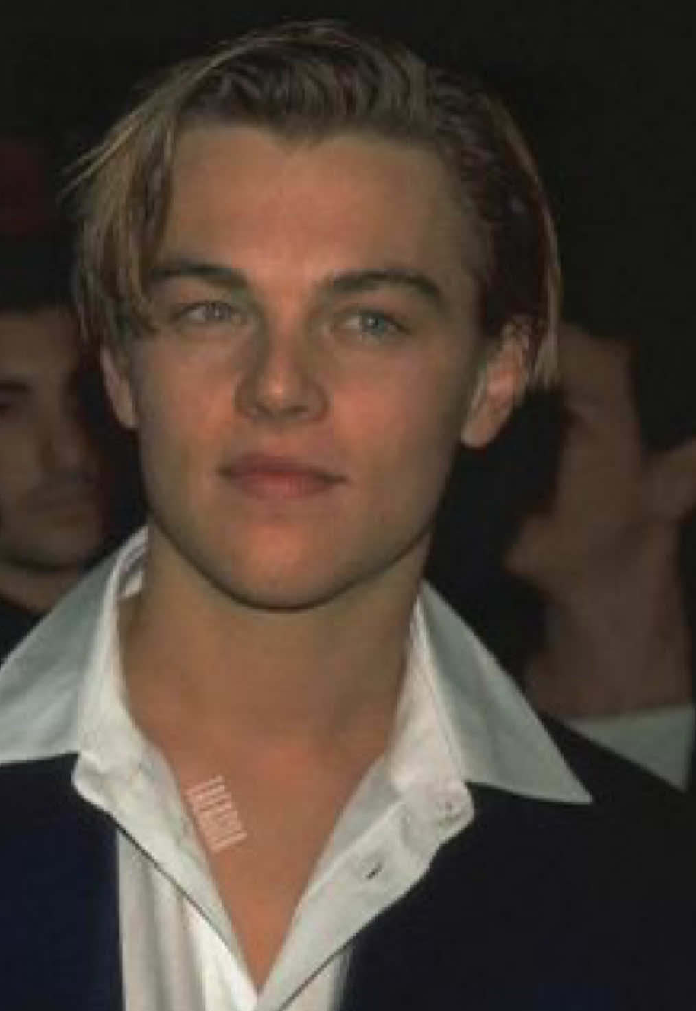 @Leonardo DiCaprios Wife๐๐๐ธ