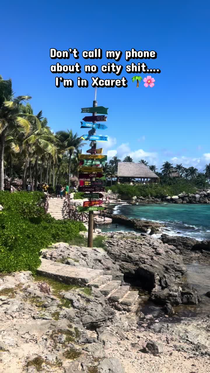 @Ariana_AA